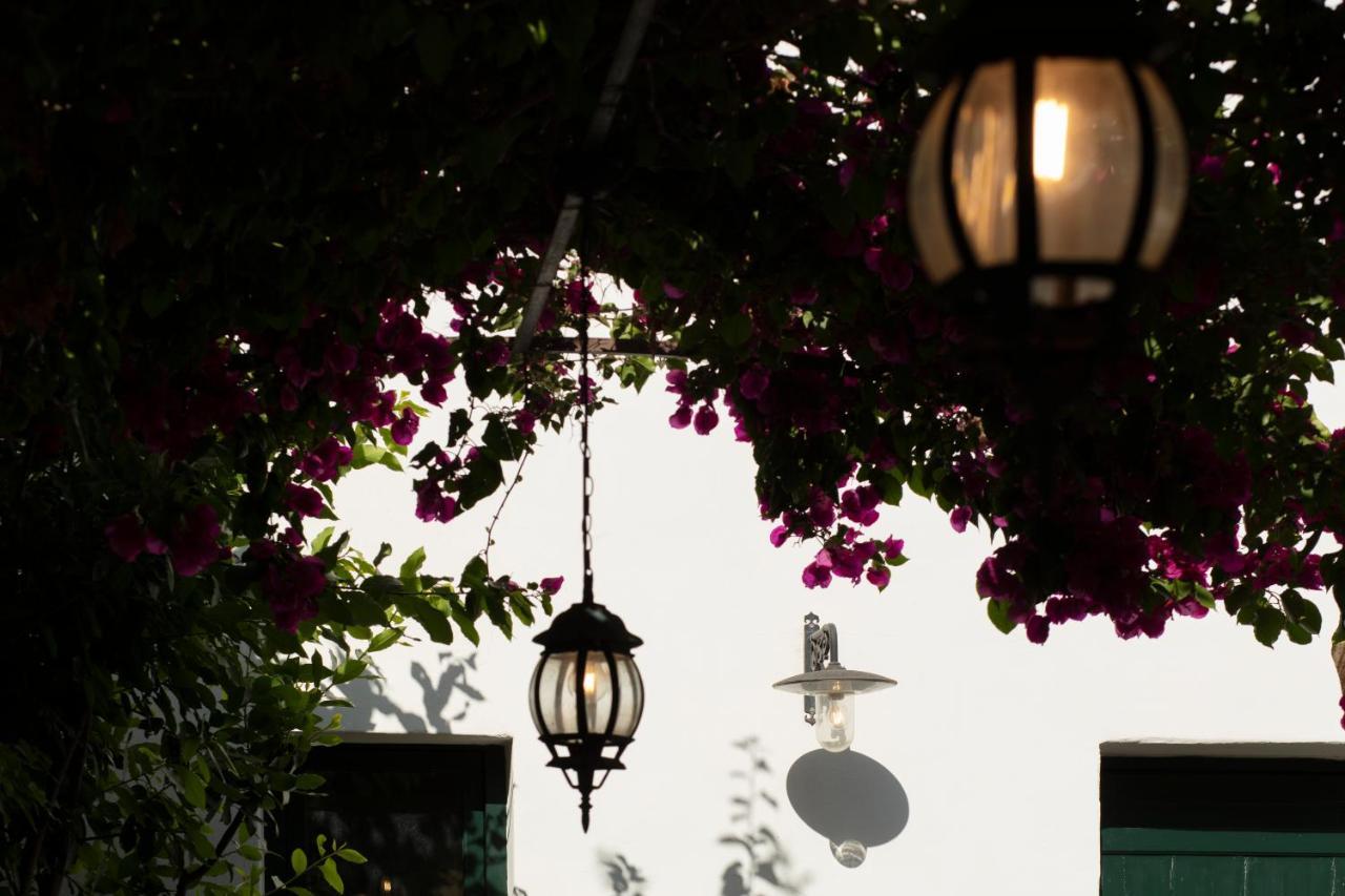 Don Alfonso Dimora D'Epoca Bed & Breakfast Racale Ngoại thất bức ảnh
